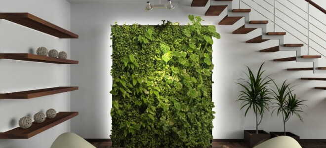 Сколько «живёт» стабилизированный мох и как за ним ухаживать