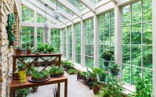 Теплица своими руками: как сделать, проекты и виды