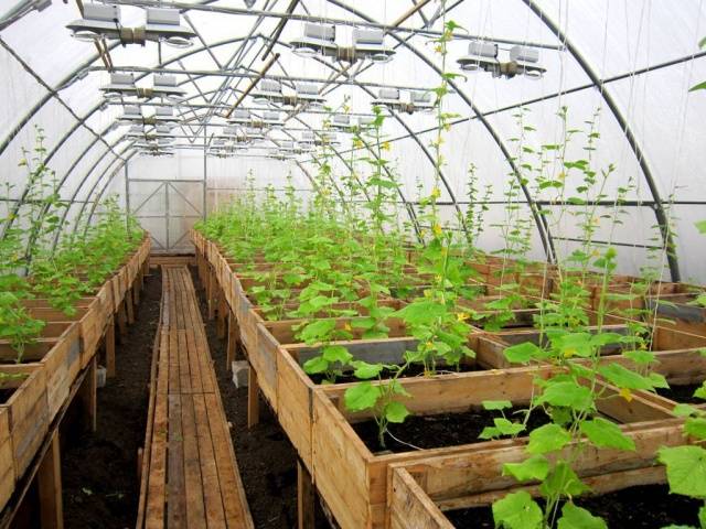 Парник для огурцов