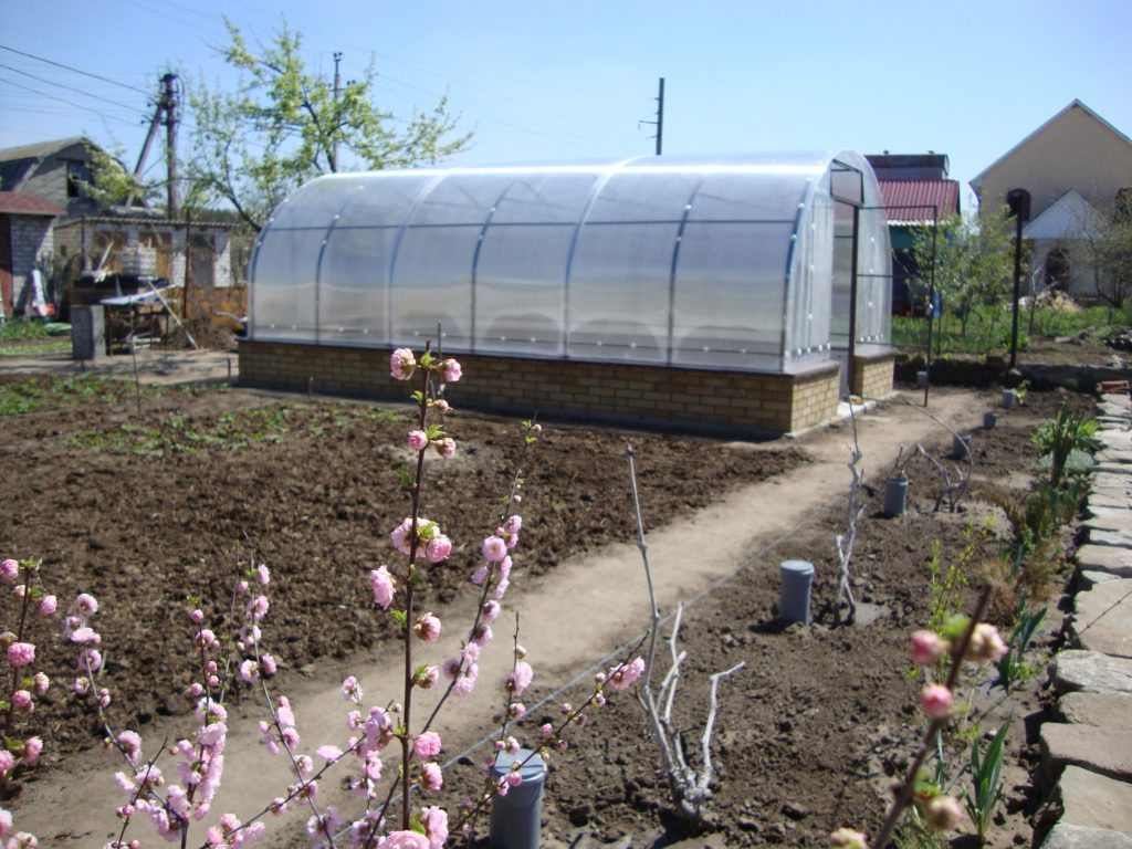 Теплица из поликарбоната на металлическом каркасе