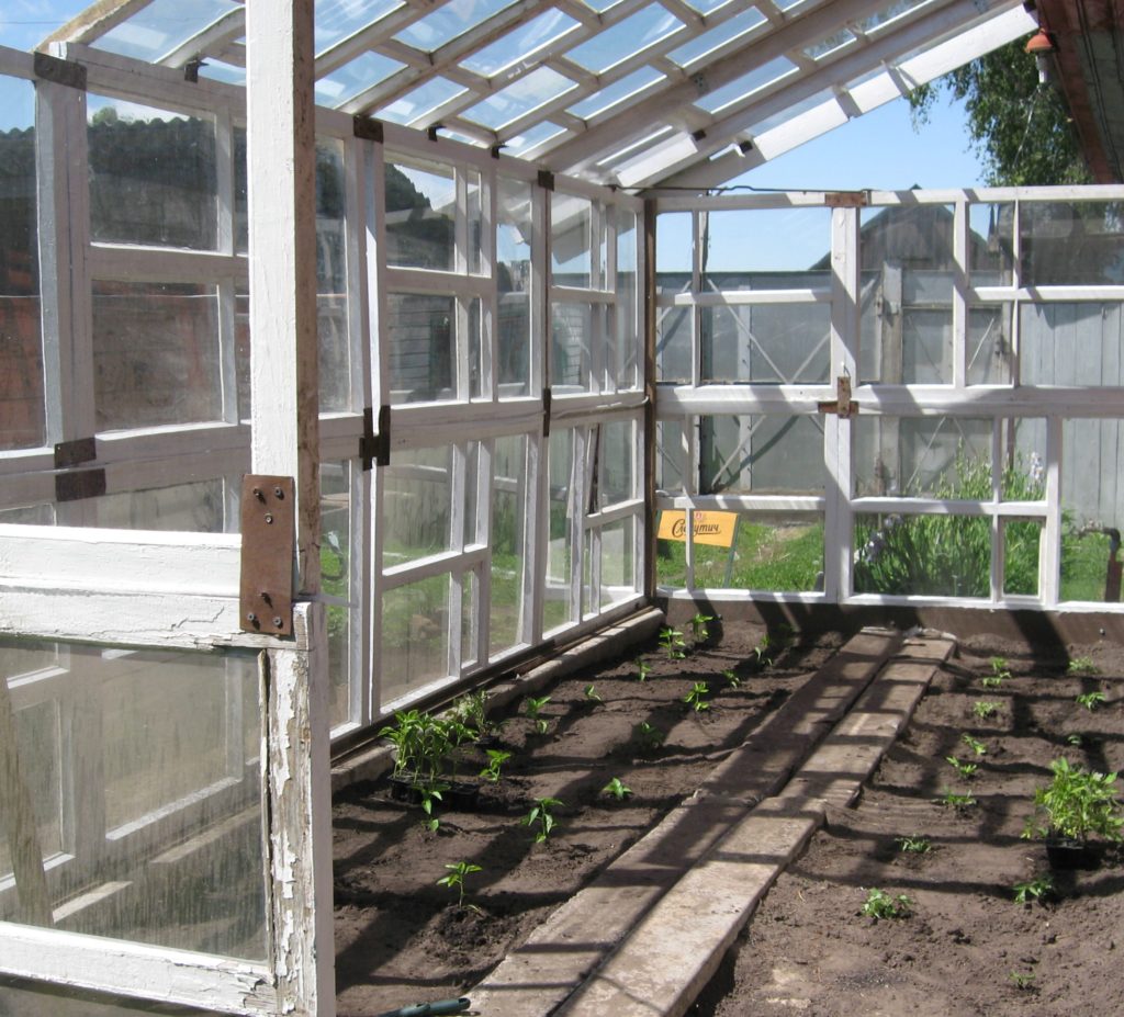 Теплица из старых оконных рам